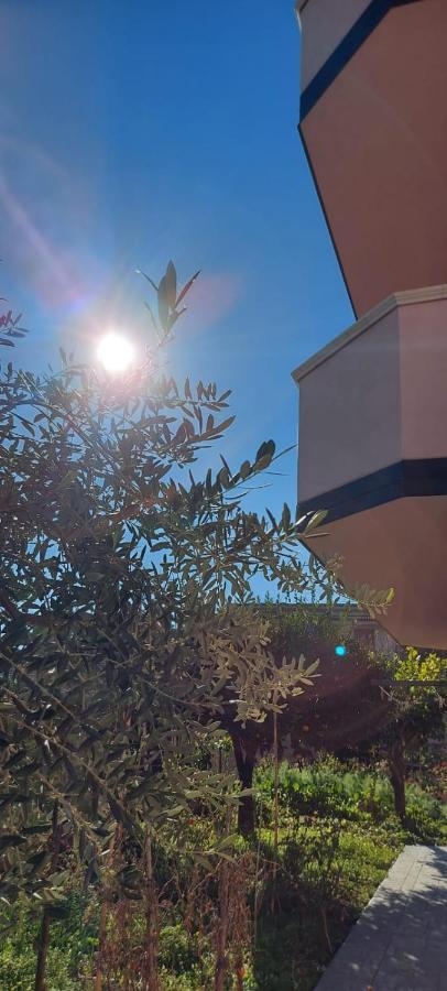 Appartamento L'Ulivo Brancaleone Marina Exteriér fotografie