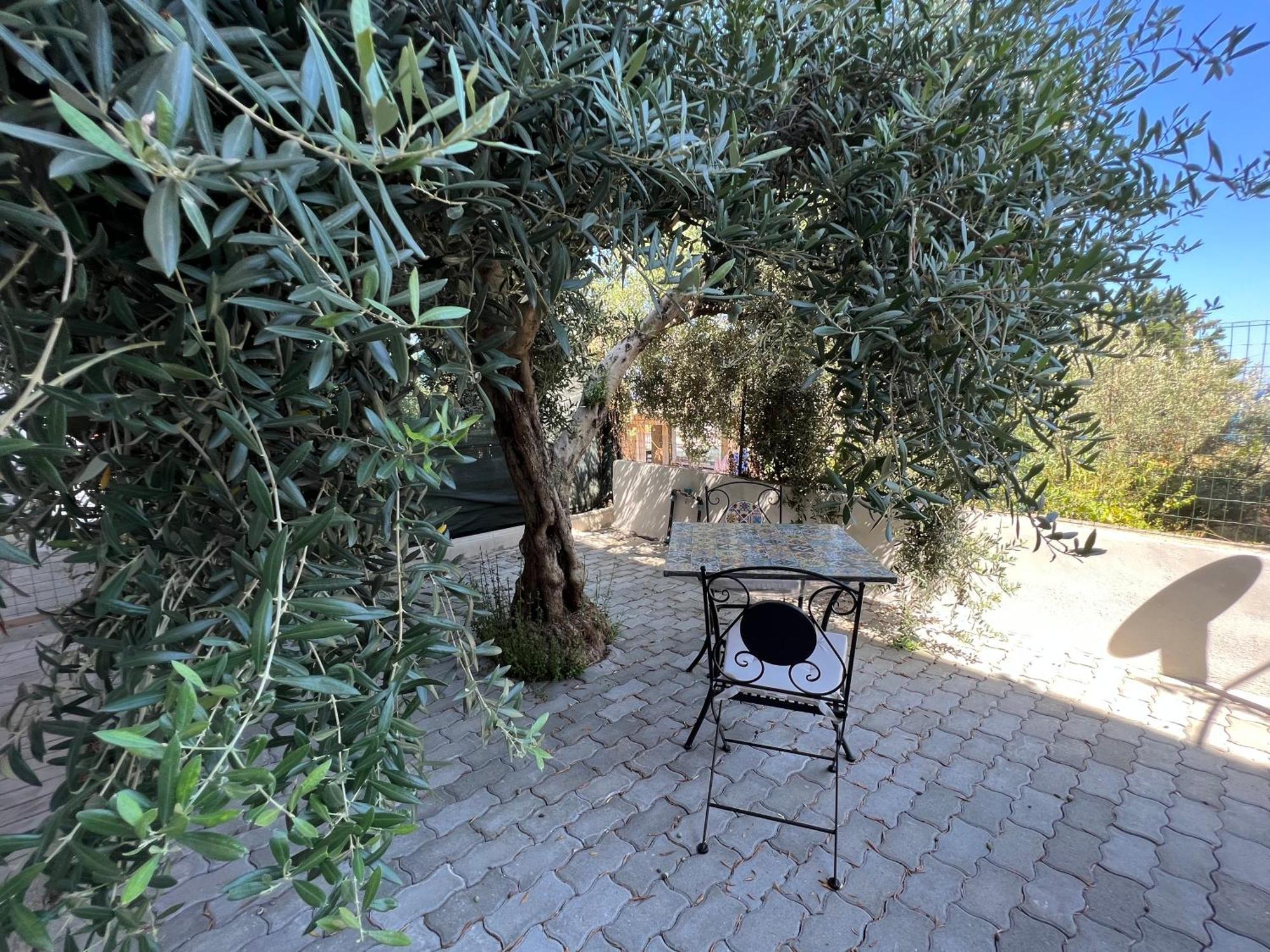 Appartamento L'Ulivo Brancaleone Marina Exteriér fotografie