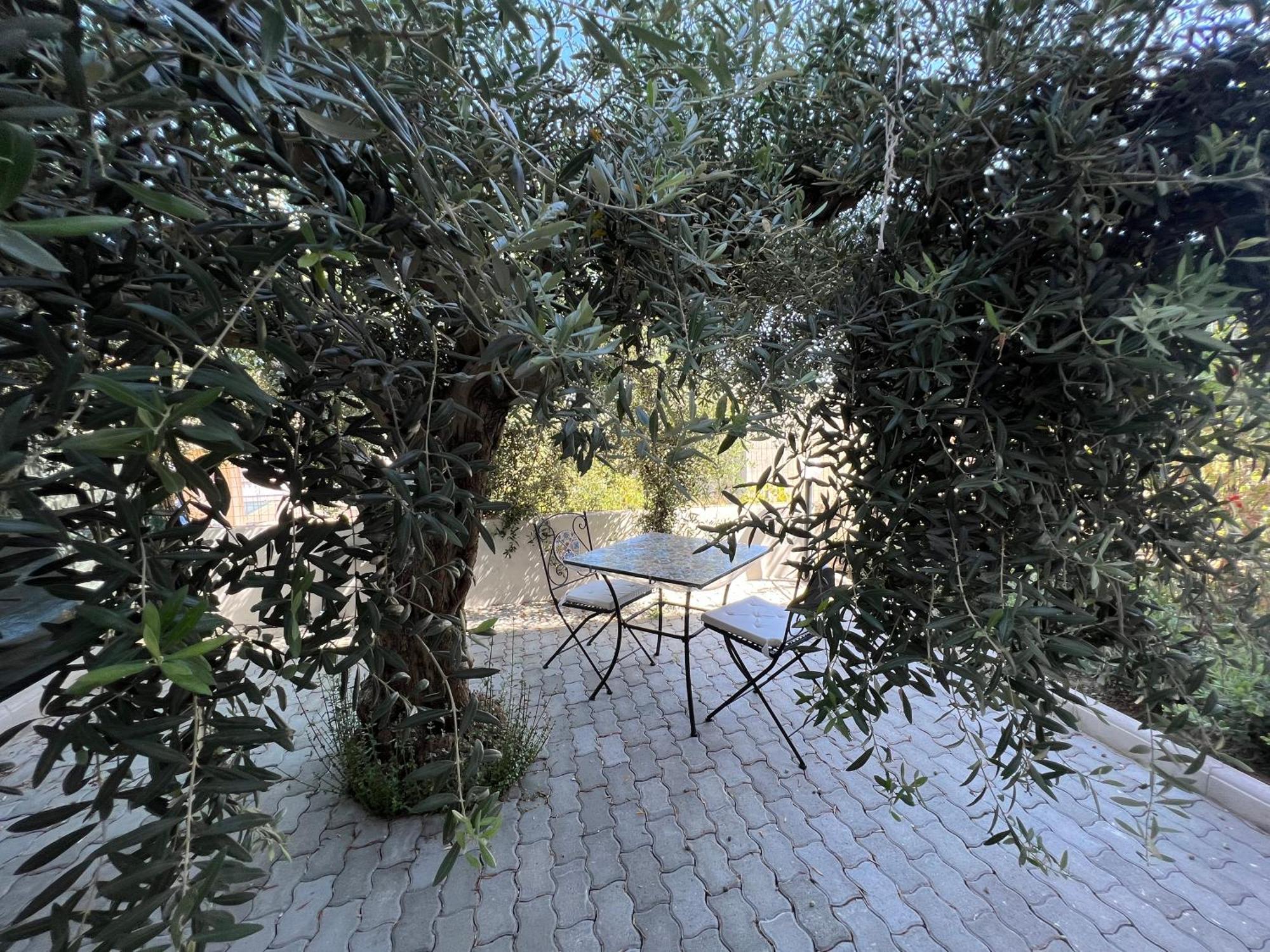 Appartamento L'Ulivo Brancaleone Marina Exteriér fotografie